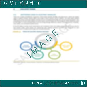 グローバルリサーチ調査レポートのイメージ